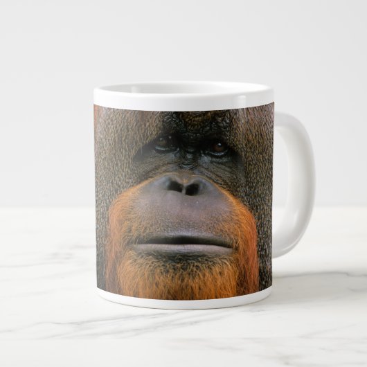 Porträt eines Orang-Utan-Männchens, Georgia, USA Jumbo-Tasse (Vorderseite Rechts)