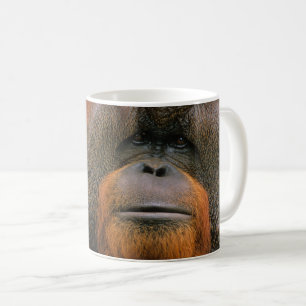 Porträt eines Orang-Utan-Männchens, Georgia, USA Kaffeetasse