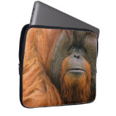 Porträt eines Orang-Utan-Männchens, Georgia, USA Laptopschutzhülle (Vorne Rechts)