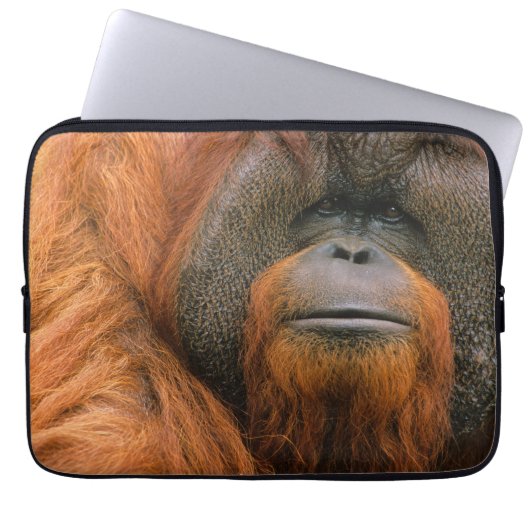 Porträt eines Orang-Utan-Männchens, Georgia, USA Laptopschutzhülle (Vorderseite)