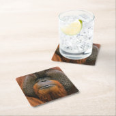 Porträt eines Orang-Utan-Männchens, Georgia, USA Rechteckiger Pappuntersetzer (Vor Ort)