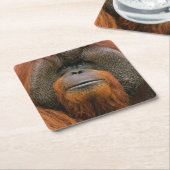 Porträt eines Orang-Utan-Männchens, Georgia, USA Rechteckiger Pappuntersetzer (angewinkelt)