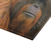 Porträt eines Orang-Utan-Männchens, Georgia, USA Schneidebrett (Ecke)