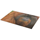 Porträt eines Orang-Utan-Männchens, Georgia, USA Schneidebrett (Ecke)