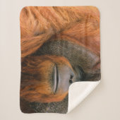 Porträt eines Orang-Utan-Männchens, Georgia, USA Sherpadecke (Vorderseite)