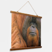 Porträt eines Orang-Utan-Männchens, Georgia, USA Wandteppich Mit Holzrahmen (Gewinkelt)