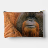 Porträt eines Orang-Utan-Männchens, Georgia, USA Zubehörtasche (Rückseite)