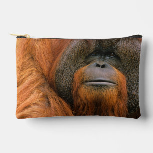 Porträt eines Orang-Utan-Männchens, Georgia, USA Zubehörtasche