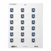 Porträt eines Ospreys Adressaufkleber (Vorne)