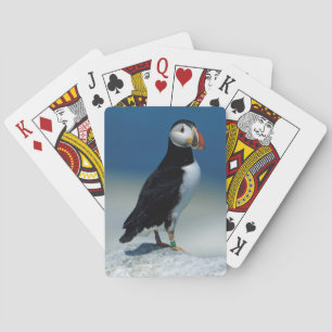 Porträt eines Papageitauchers Spielkarten