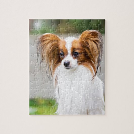 Porträt eines papillon Hundes Puzzle (Vertikal)