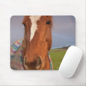 Porträt eines Pferdes mit Regenbogen im Himmel Mousepad (Mit Mouse)