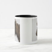 Porträt eines Pferds Tasse (Zentrum)