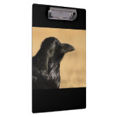 Porträt eines Raben Klemmbrett (Rechts)