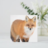 Porträt eines Rotfuchses Feiertagskarte (Stehend Vorderseite)