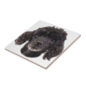 Porträt eines schwarzen Pudels Fliese (Seite)