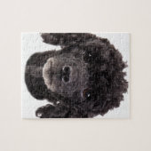 Porträt eines schwarzen Pudels Puzzle (Horizontal)