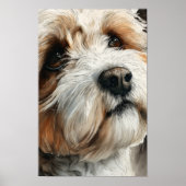 Porträt eines Shih-Doodle-Hundes Poster (Vorne)