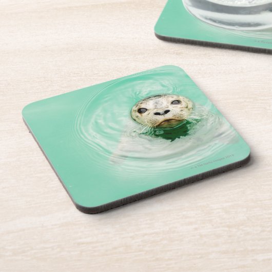 Porträt eines Siegels im Wasser Untersetzer (Linke Seite)