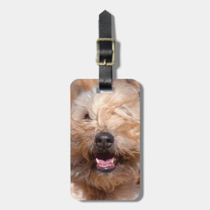 Porträt eines Soft Coated Wheaten Terrier Gepäckanhänger
