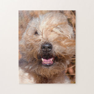 Porträt eines Soft Coated Wheaten Terrier Puzzle