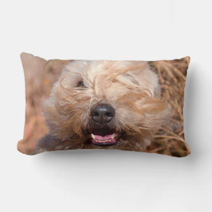 Porträt eines Soft Coated Wheaten Terriers Lendenkissen