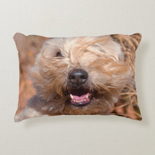 Porträt eines Soft Coated Wheaten Terriers Zierkissen