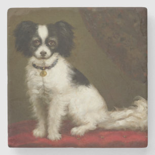 Porträt eines Spaniel Steinuntersetzer