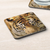 Porträt eines Tigers Getränkeuntersetzer (Linke Seite)