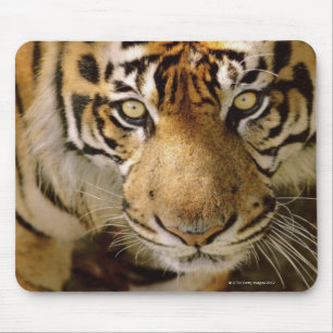 Porträt eines Tigers Mousepad
