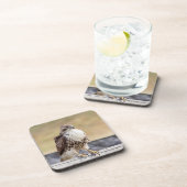 Porträt eines ungetrübten roten Schwanzfalken Getränkeuntersetzer (Rechte Seite)