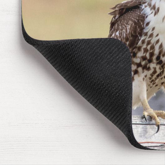 Porträt eines ungetrübten roten Schwanzfalken Mousepad (Ecke)