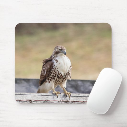 Porträt eines ungetrübten roten Schwanzfalken Mousepad (Mit Mouse)