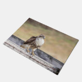 Porträt eines unreifes Rot angebundenen Falken Fußmatte (Schrägansicht)