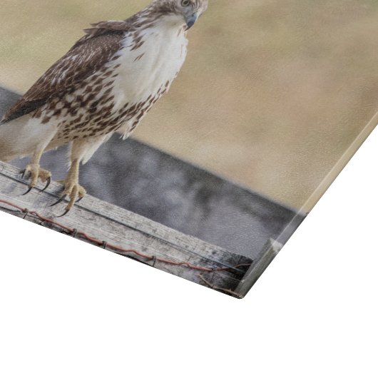 Porträt eines unreifes Rot angebundenen Falken Schneidebrett (Ecke)