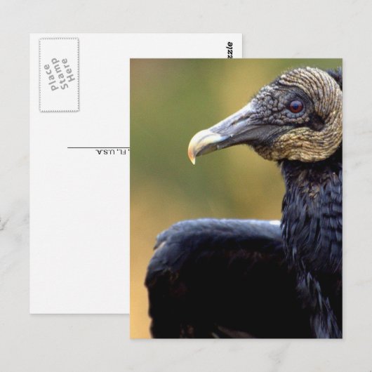 Porträt eines Vulkans Postkarte (Vorne/Hinten)