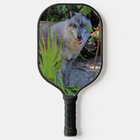 Porträt eines Wolf-Pickleball-Paddels Pickleball Schläger (Vorderseite)
