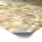 Porträt eines Wolfs Poster (Ecke)