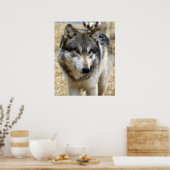 Porträt eines Wolfs Poster (Küche)