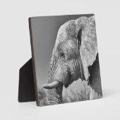 Porträt Fotoplatte (Vorderseite)