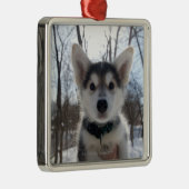 Porträt im Freiendes heiseren Hundewelpen Silbernes Ornament (Rechts)