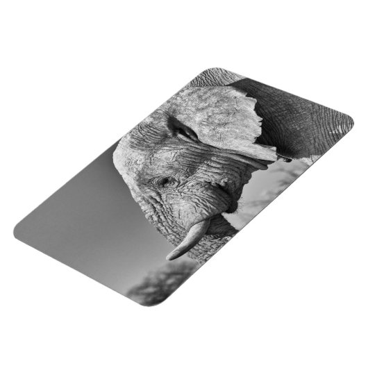 Porträt Magnet (Linke Seite)