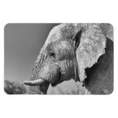 Porträt Magnet (Horizontal)