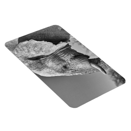 Porträt Magnet (Rechte Seite)