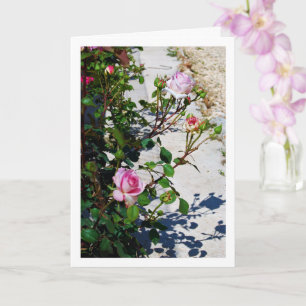 Porträt mit rosa Rosen Karte
