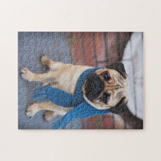 Porträt-niedlicher Mops-Hund mit blauem Schal, Puzzle (Horizontal)