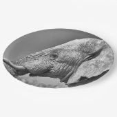 Porträt Pappteller (Schrägansicht)