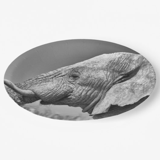 Porträt Pappteller (Schrägansicht)