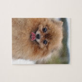 Porträt Pomeranian Hund Puzzle (Horizontal)
