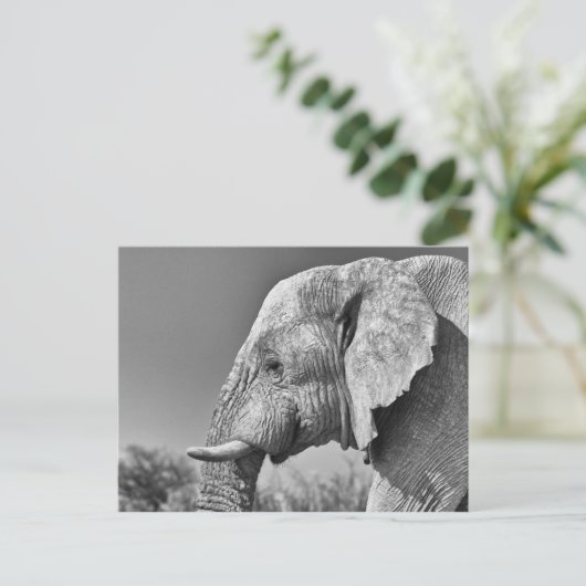 Porträt Postkarte (Stehend Vorderseite)